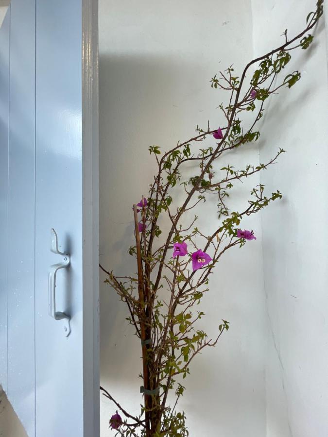 Theros - Traditional House In